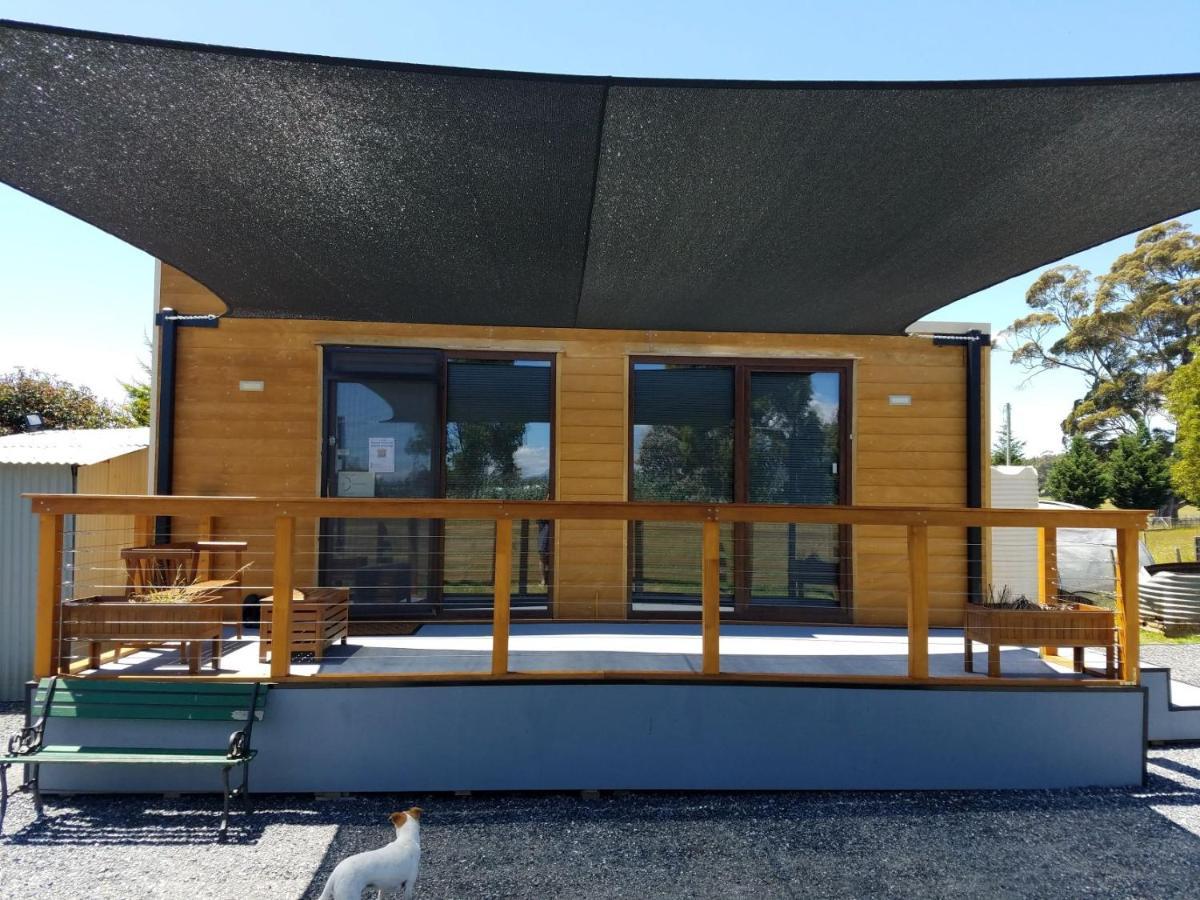 Tiny Cradle At The Good Place Staverton 외부 사진